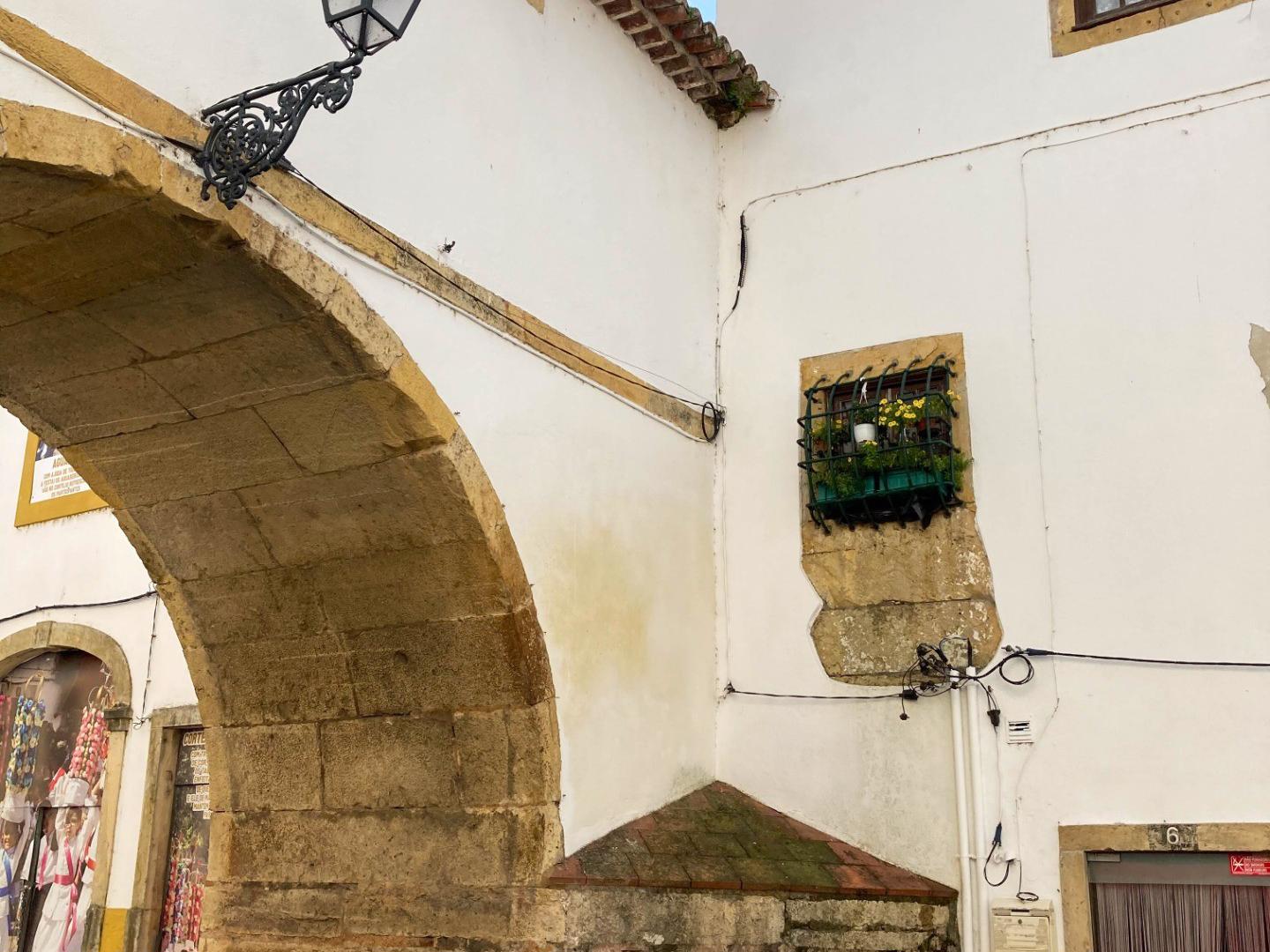 Pormenor - O Arco das Freiras, em Tomar, é um arco de volta inteira sobre a Rua de Santa Iria, que é uma passagem aérea que liga o Convento de Santa Iria ao antigo Palácio de Frei António de Lisboa. A sua origem remonta ao século XVI.